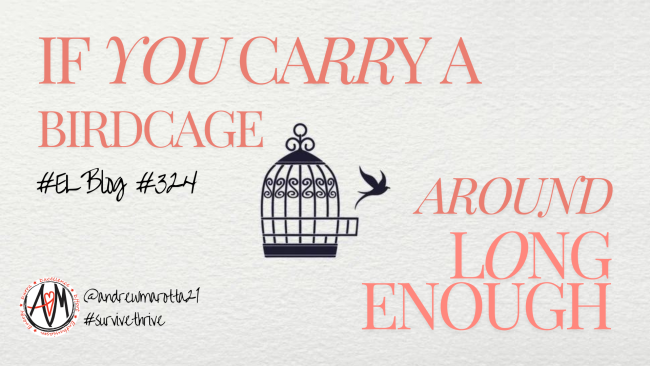 #324 If you carry a birdcage around long enough
